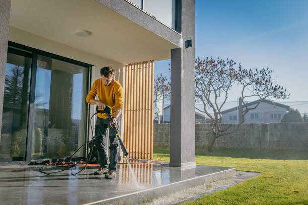 Best Pre-Holiday Cleaning  in Robins, IA